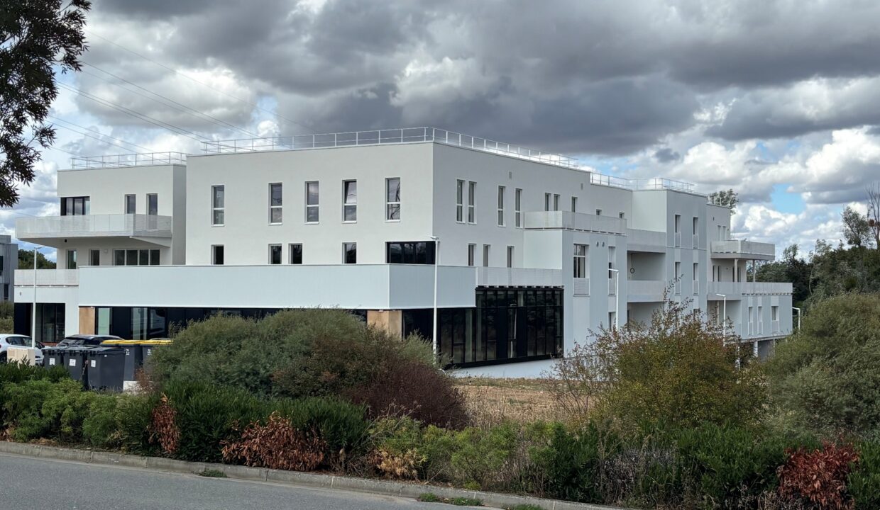 Image1